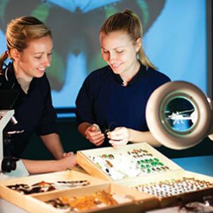 Photo of Earth and Environmental Science Research