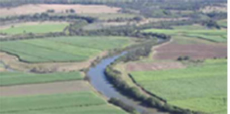 Photo of Stream corridor with aquatic habitat values on coastal floodplain