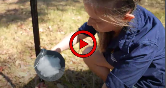 Watch the VegeMap feature story on ABC