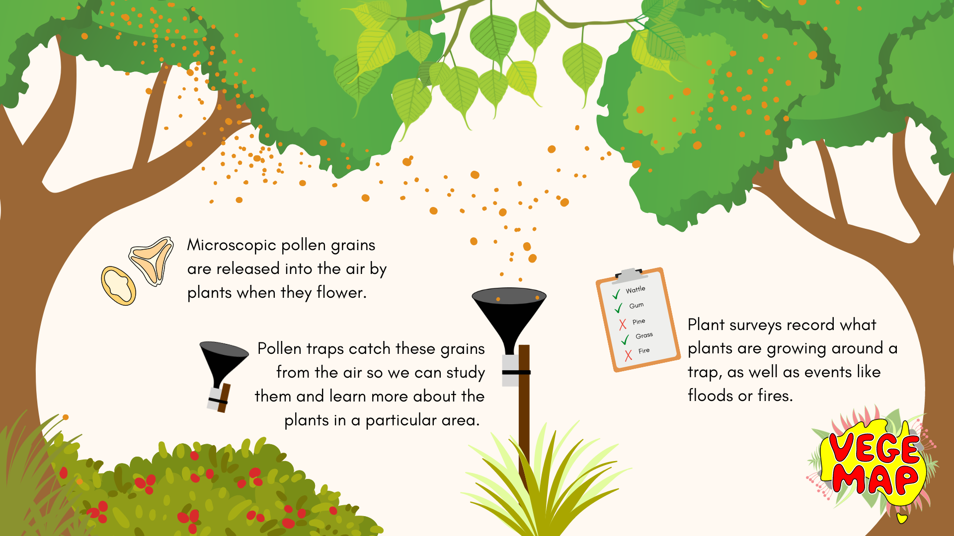 Diagram describing pollen collection process for Vegemap