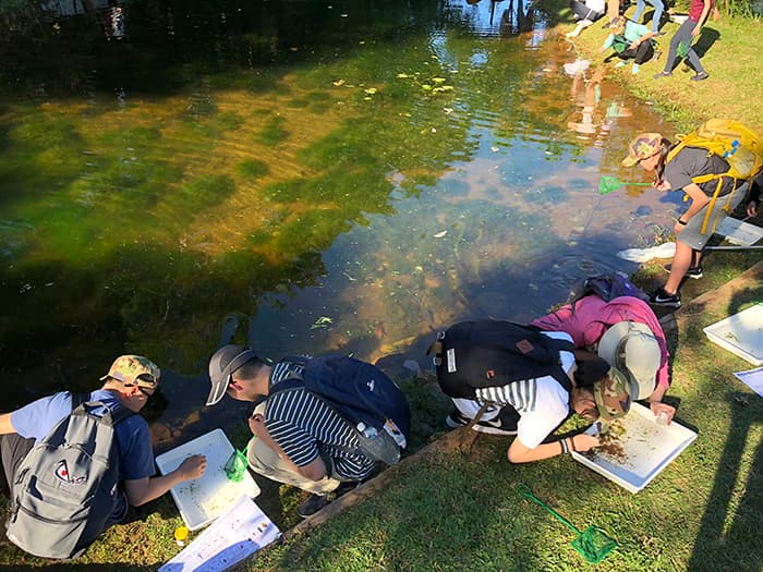 aquatic invertebrate sampling at the wetlands