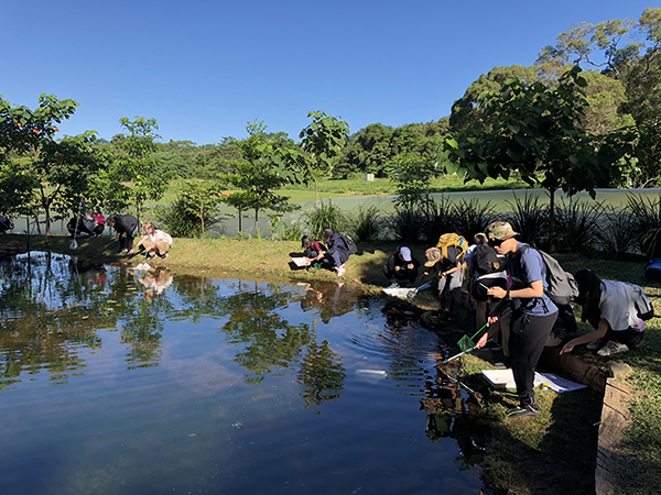 Wetlands Wetlands