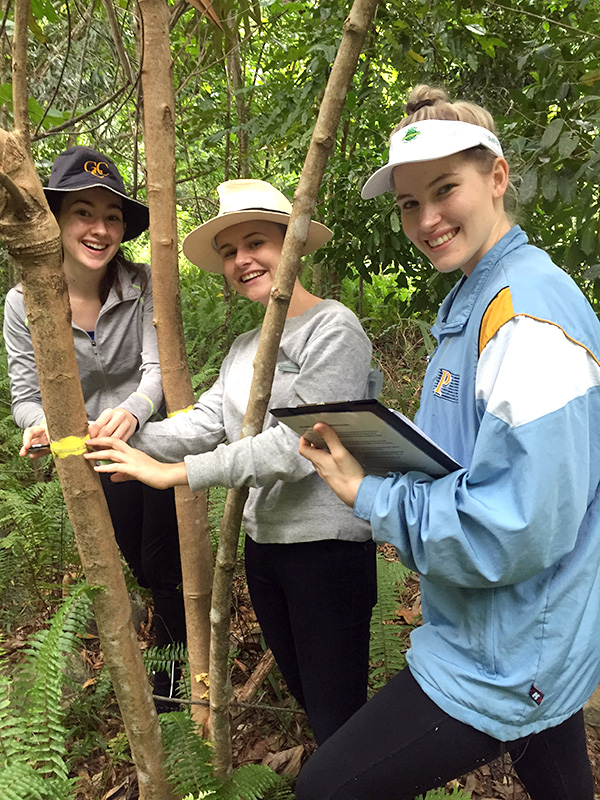 Revegetation plot