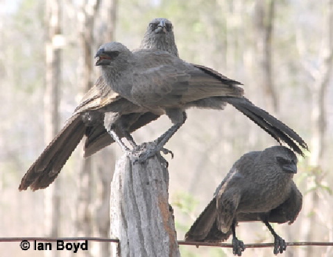 family on post