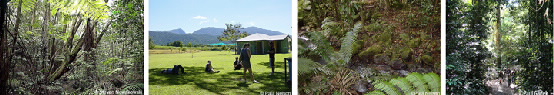 Strip of photos