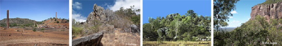 strip of photos