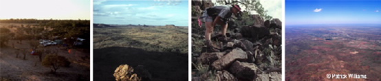 photo strip