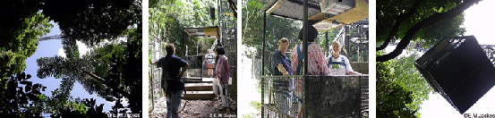 Images of the crane and students and teachers