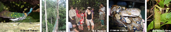 Images of Sabah study sight