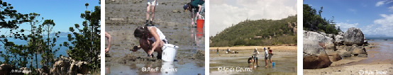 strip of photos showing Magnetic Island and students