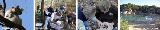 photos showing Magnetic Island and students