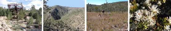 strip of photos