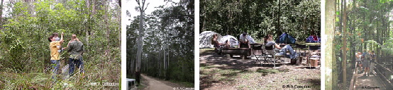 strip of photos