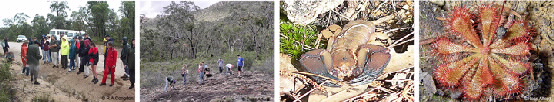 strip of photos