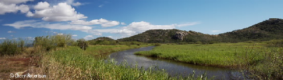 View of Town Common where some JCU field studies are carried out.