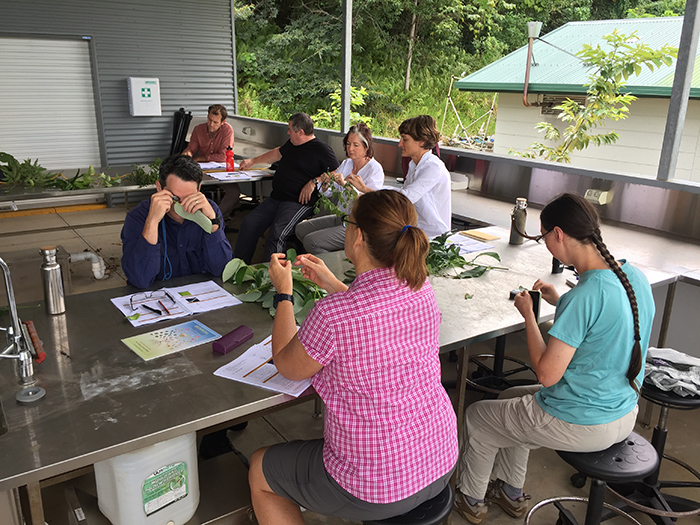 Outdoor lab