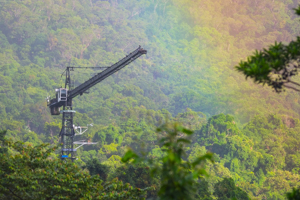 Canopy crane and rainbow
