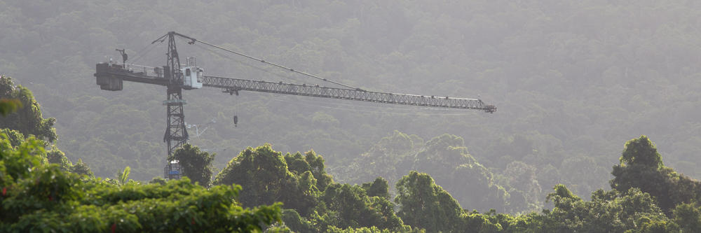 DRO Canopy Crane