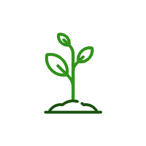 03 Stem