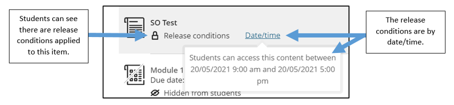 Image shows a demonstration of what it looks like if you show the item  that is unavailable until a certain date.