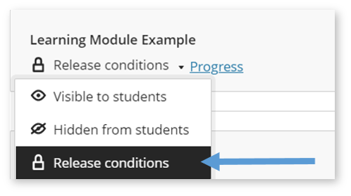 Image shows a screenshot of accessing the release conditions settings.