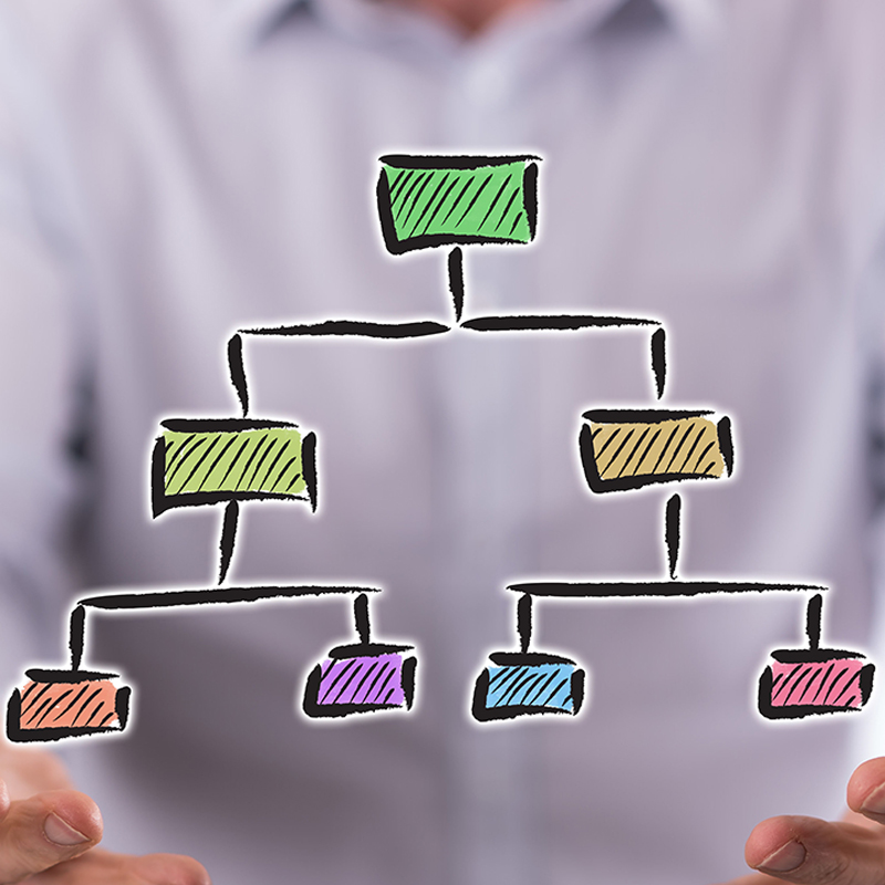 Organisation and Structure Tile