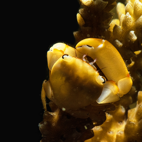 Eduquarium