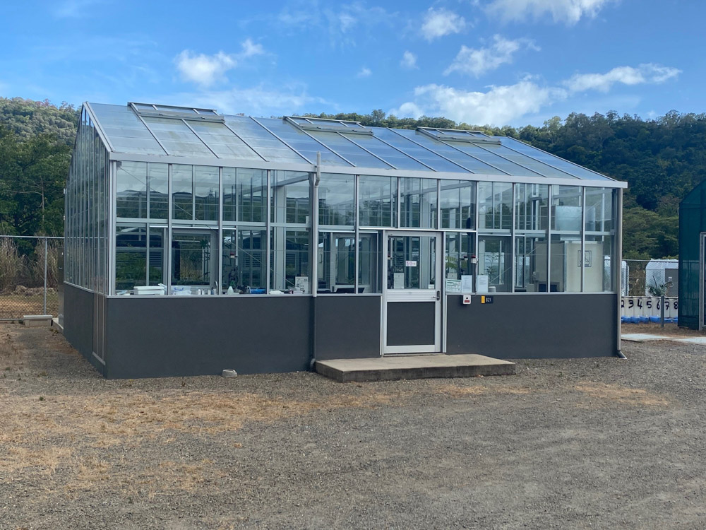 Glasshouse Glasshouse
