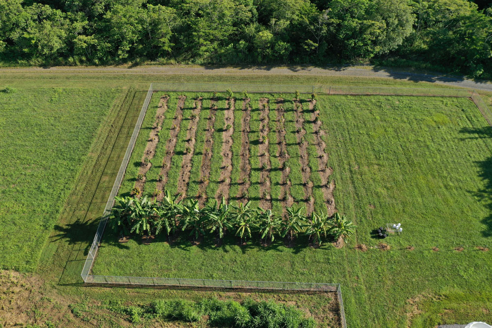 Research plots Research plots
