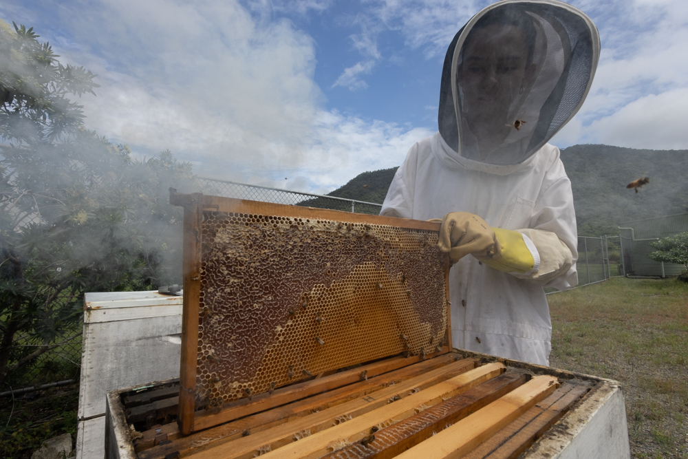 Bee Researchers 2 Bee Researchers 2