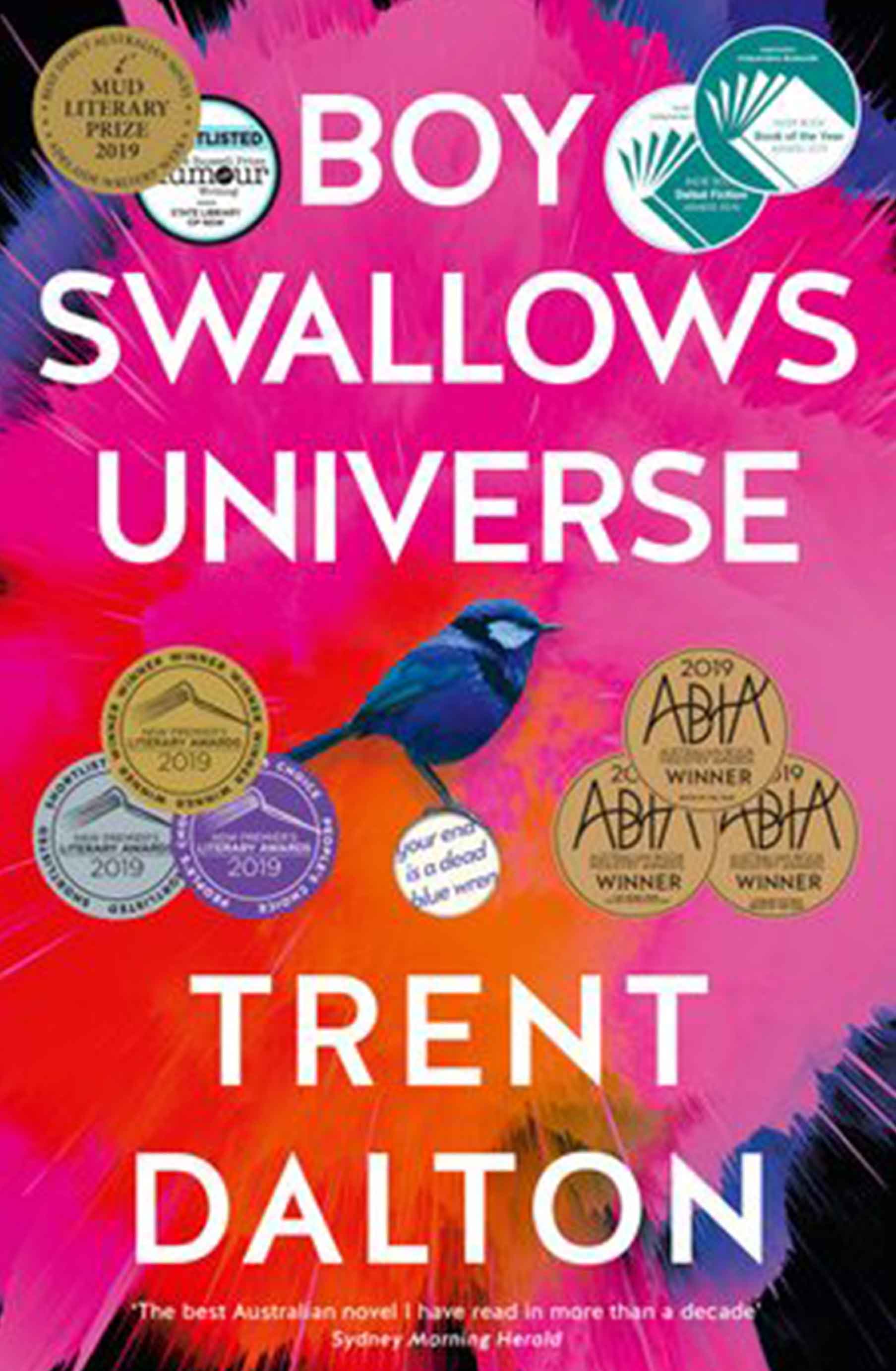 Boy Swallows Universe cover