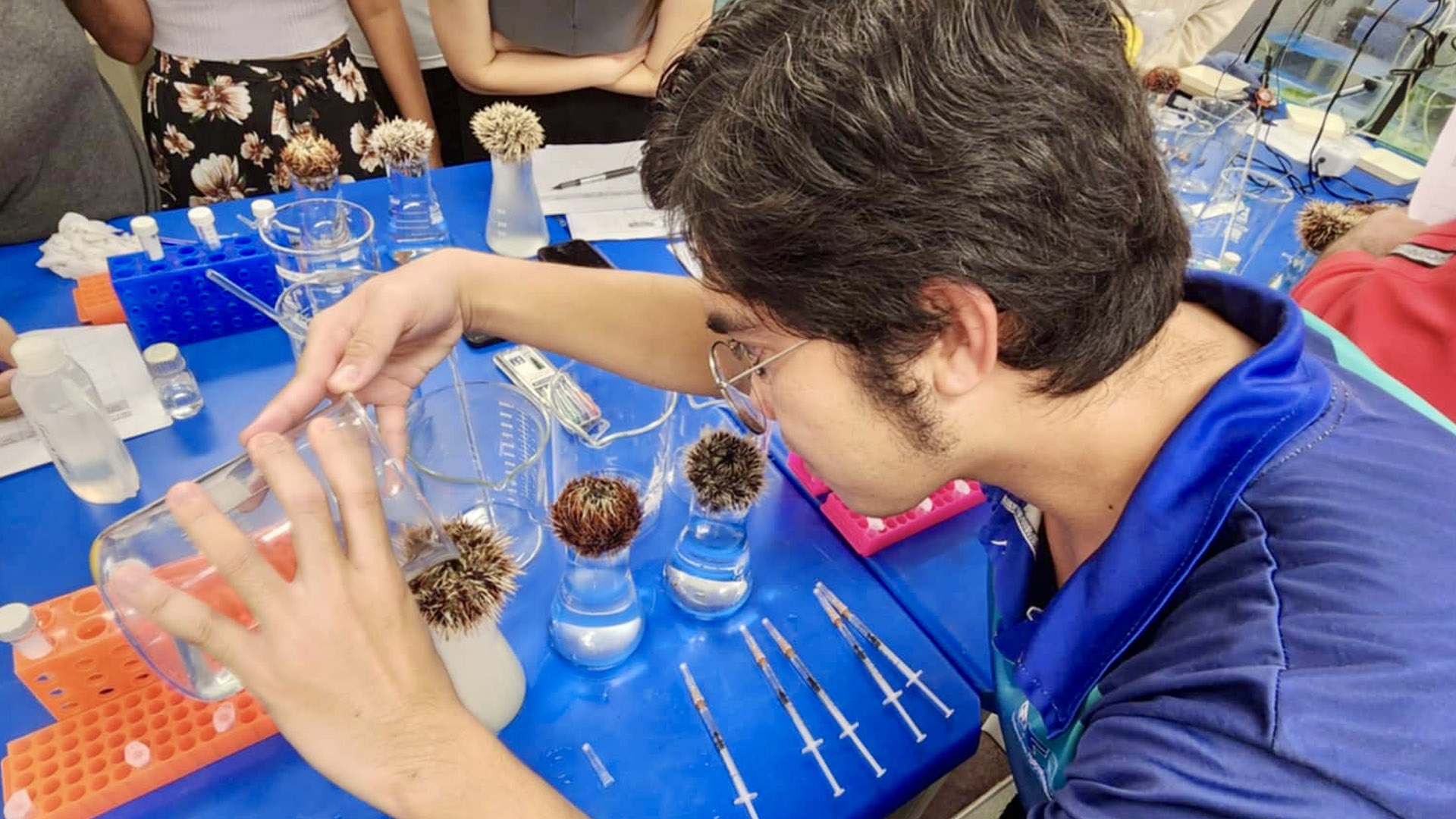 JCU Master of Science international student Christian Gino demonstrates the practical side of aquaculture. 
