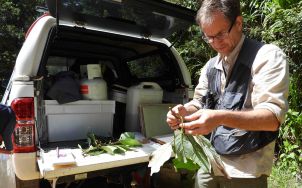 Photo of Australian Tropical Herbarium 