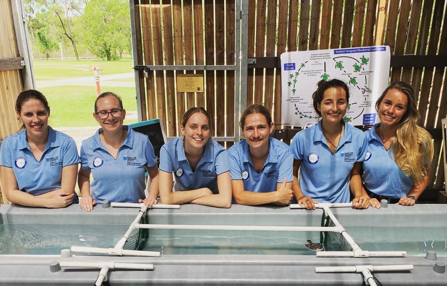 outer shell volunteers looking at turtles