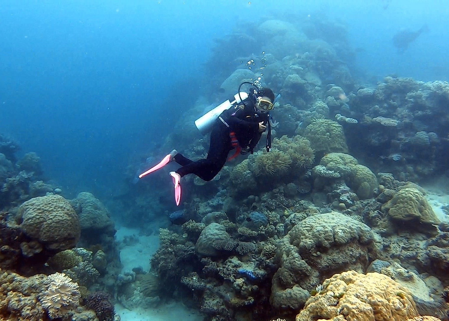 Ynes Sanchez Calderon diving on the Great Barrier Reef.