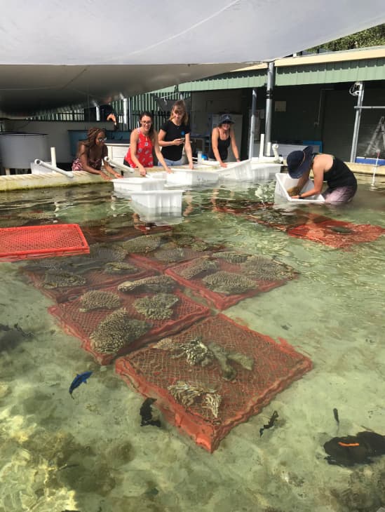 researchers in large fish tank.