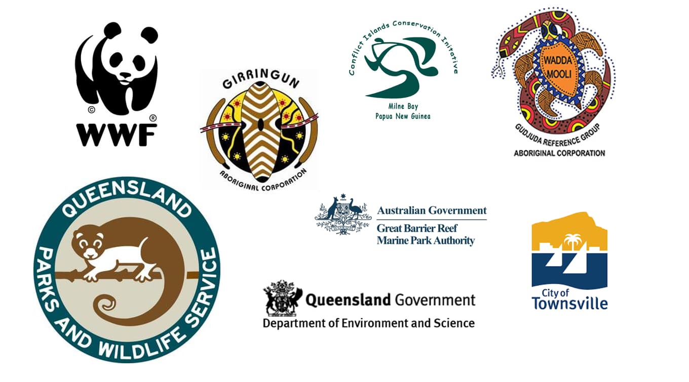 Turtle health partners. 