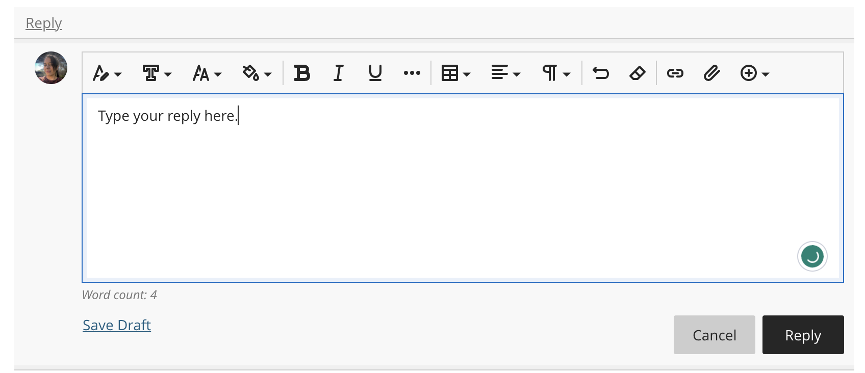 Screenshot of the text area when adding a Reply