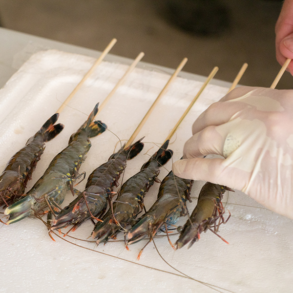 prawns