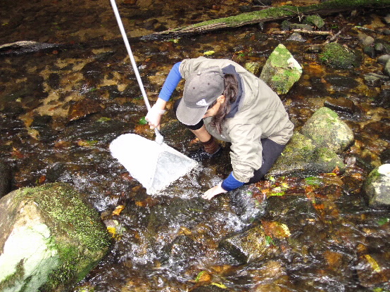 Paluma field work