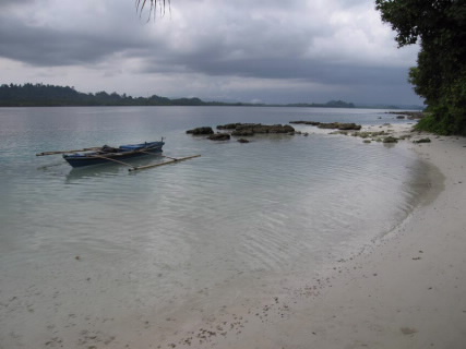 tropical beach.