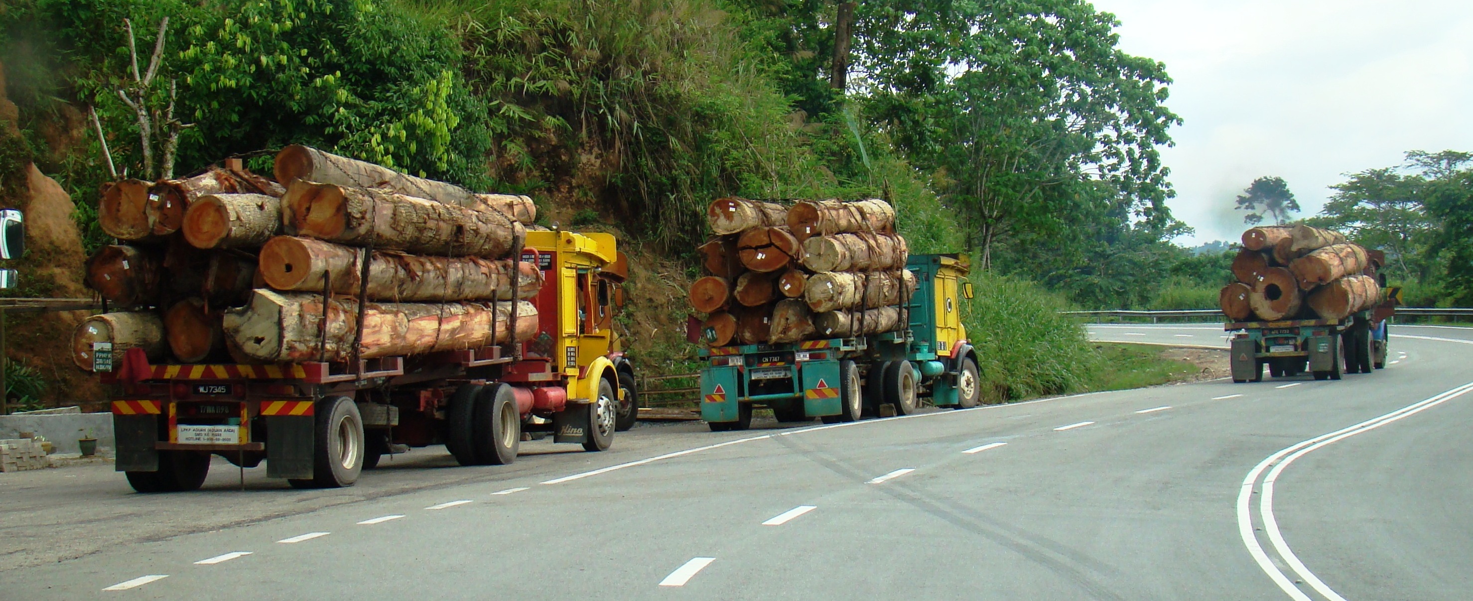 Logging in Malaysia