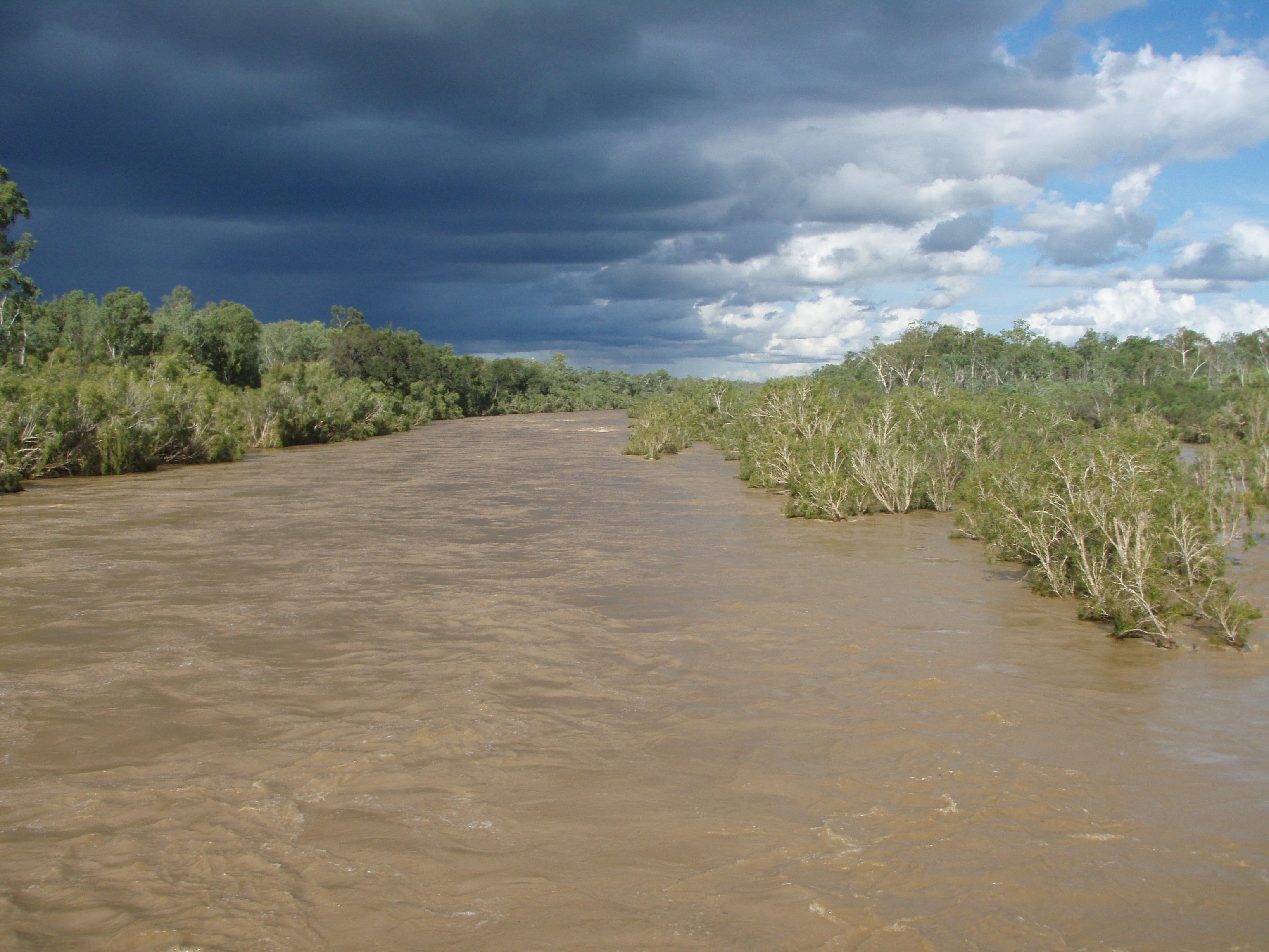 Burdekin in flood