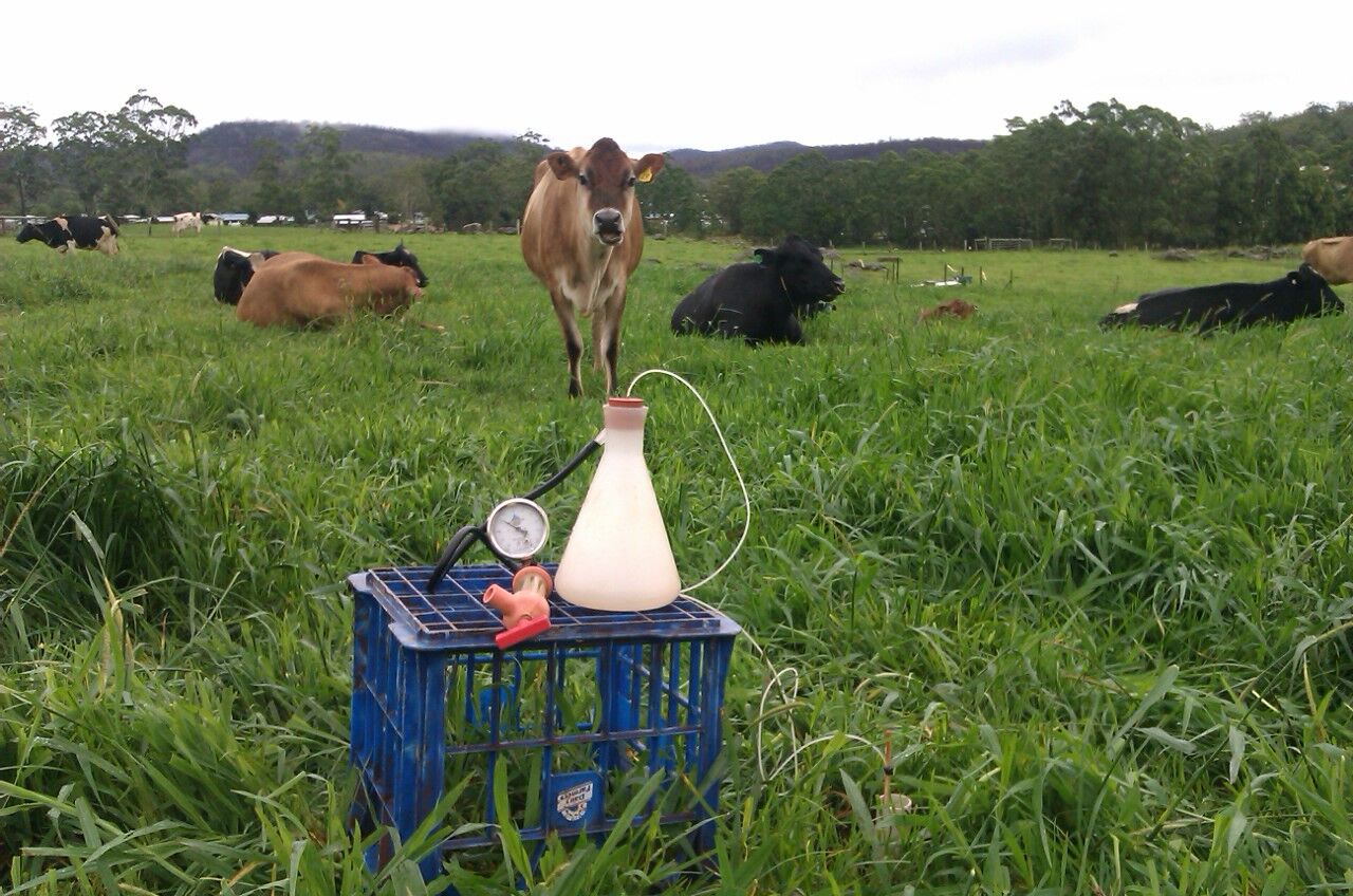 Trials at Ravenshoe