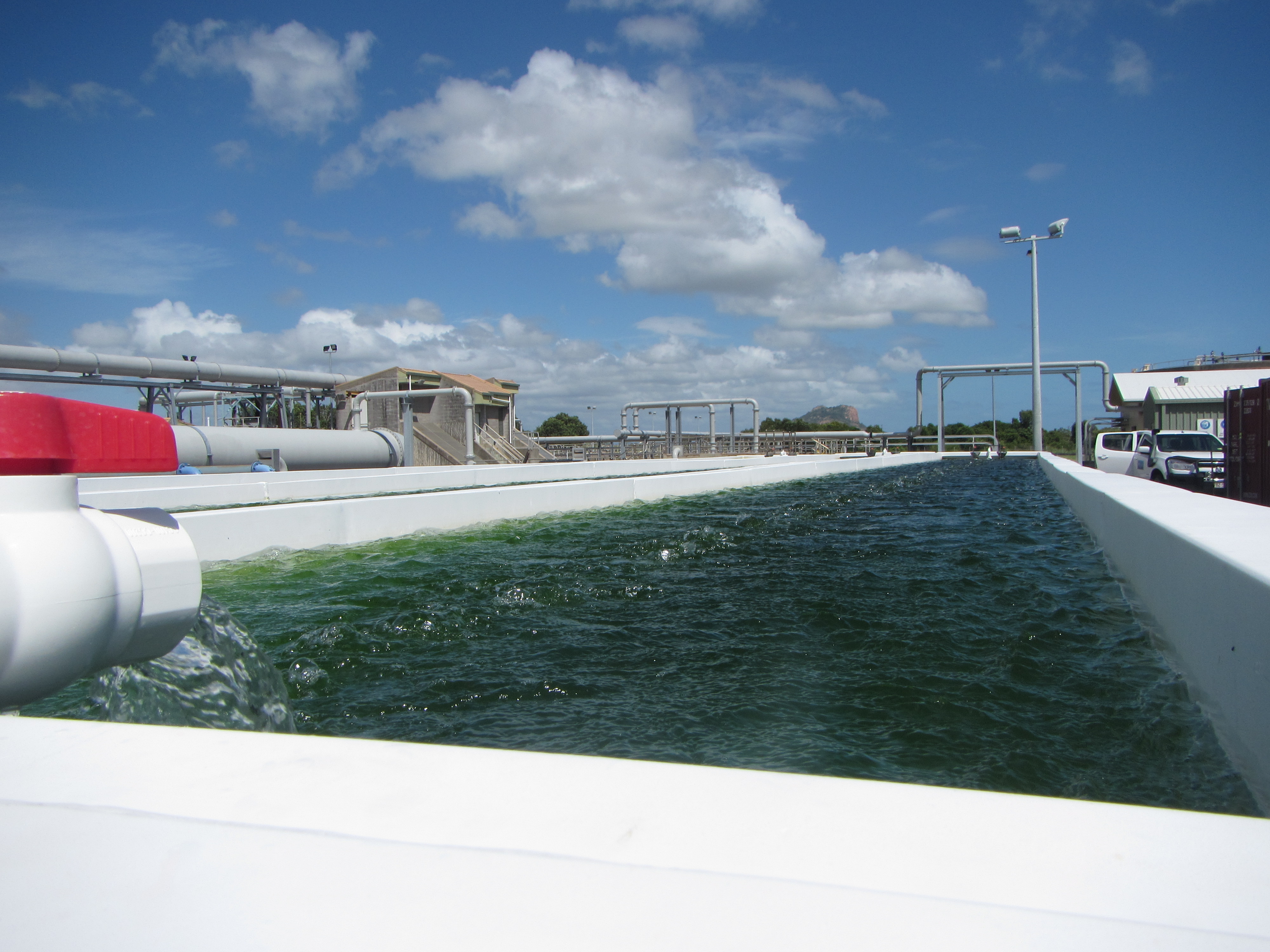 Algae tanks