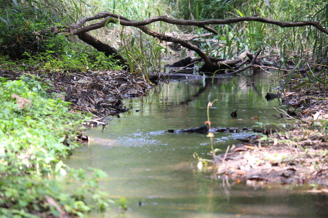 Insulator Creek