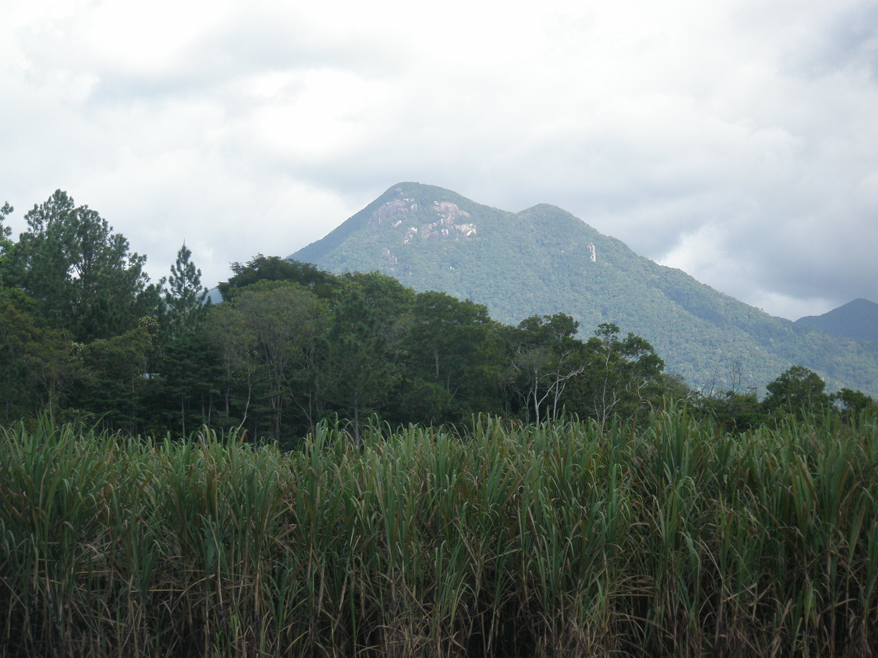 Wet tropics mountain