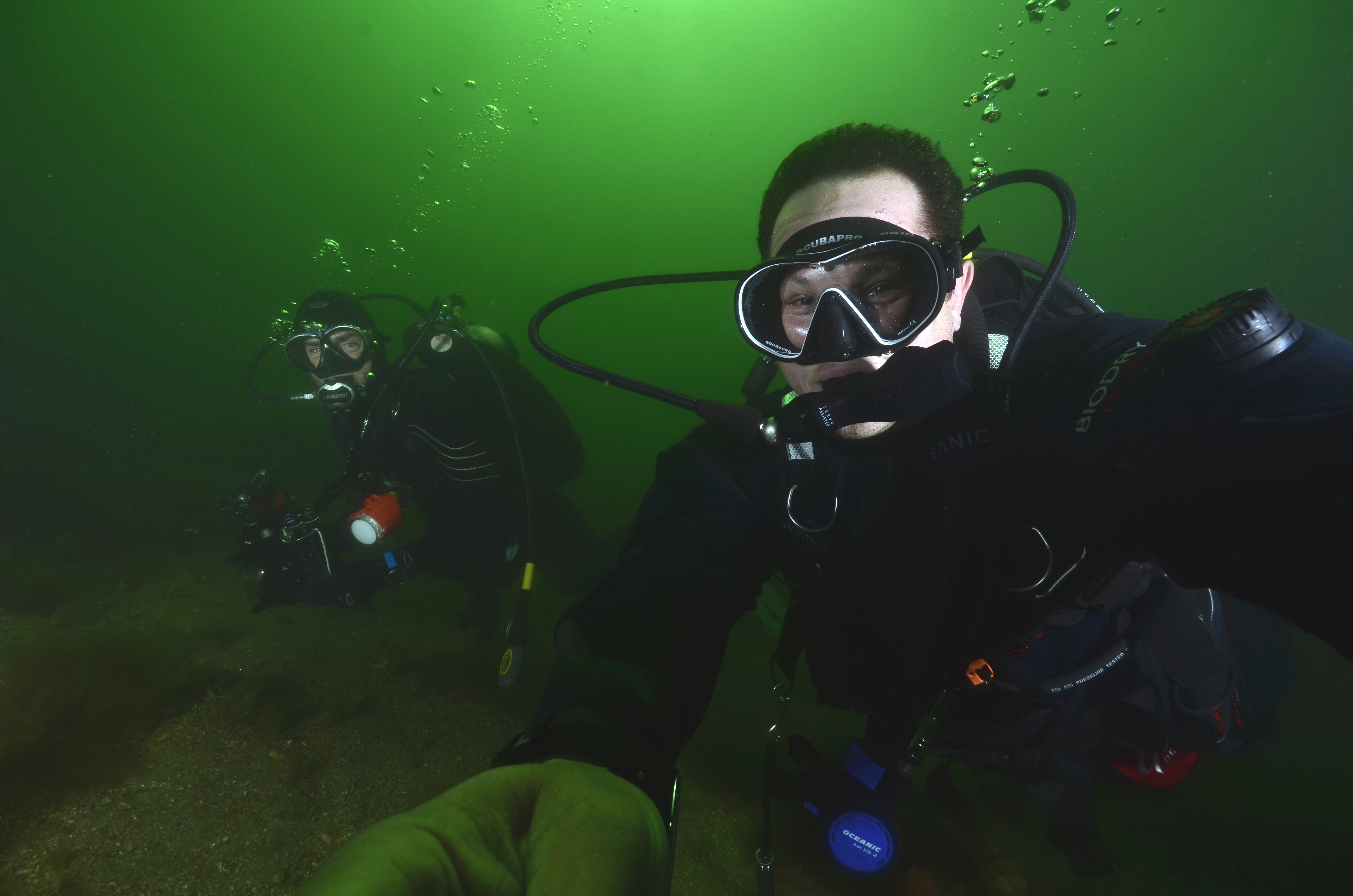 Divers