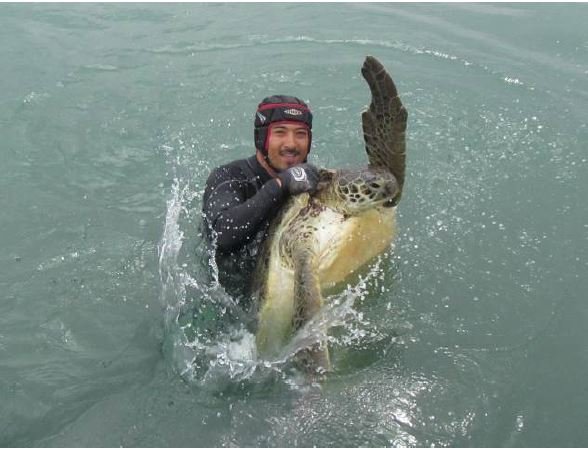 Turtle capture