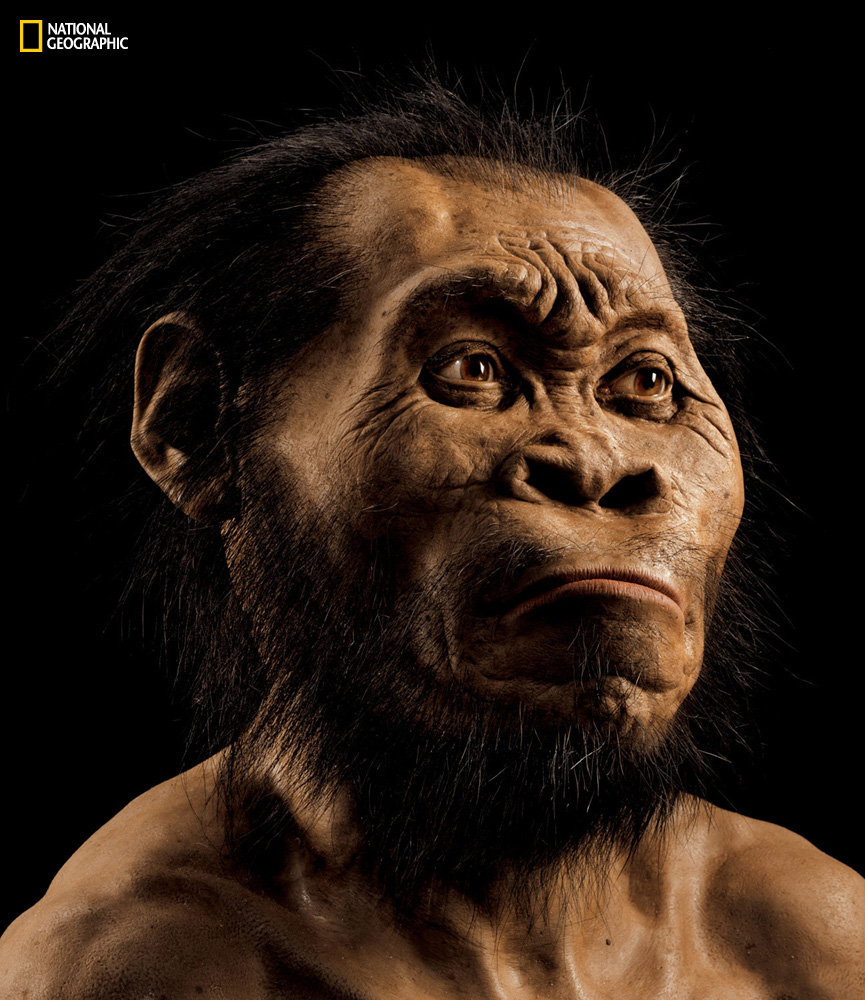 A digital rendering of Homo naledi